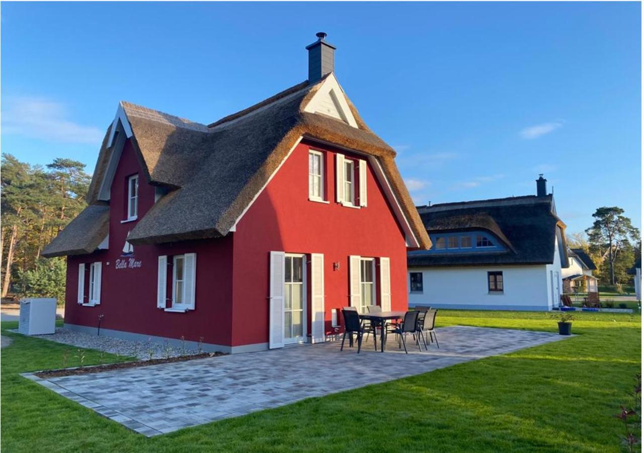 Apartment Modernes Reetdach-ostseeferienhaus Bella Mare, Insel Usedom Mit Sauna, Kamin & Sonnenterrasse Zirchow
