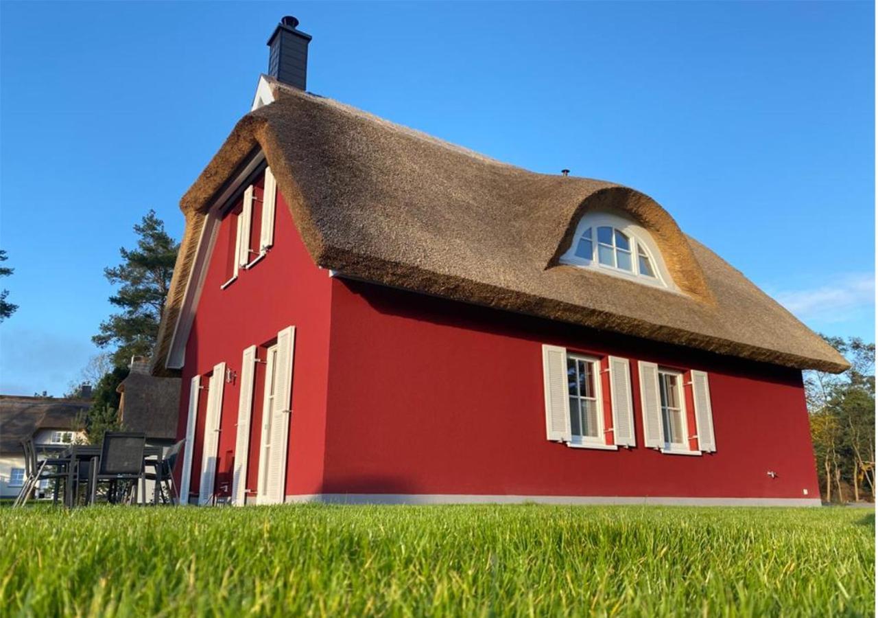 Modernes Reetdach-ostseeferienhaus Bella Mare, Insel Usedom Mit Sauna, Kamin & Sonnenterrasse * Zirchow