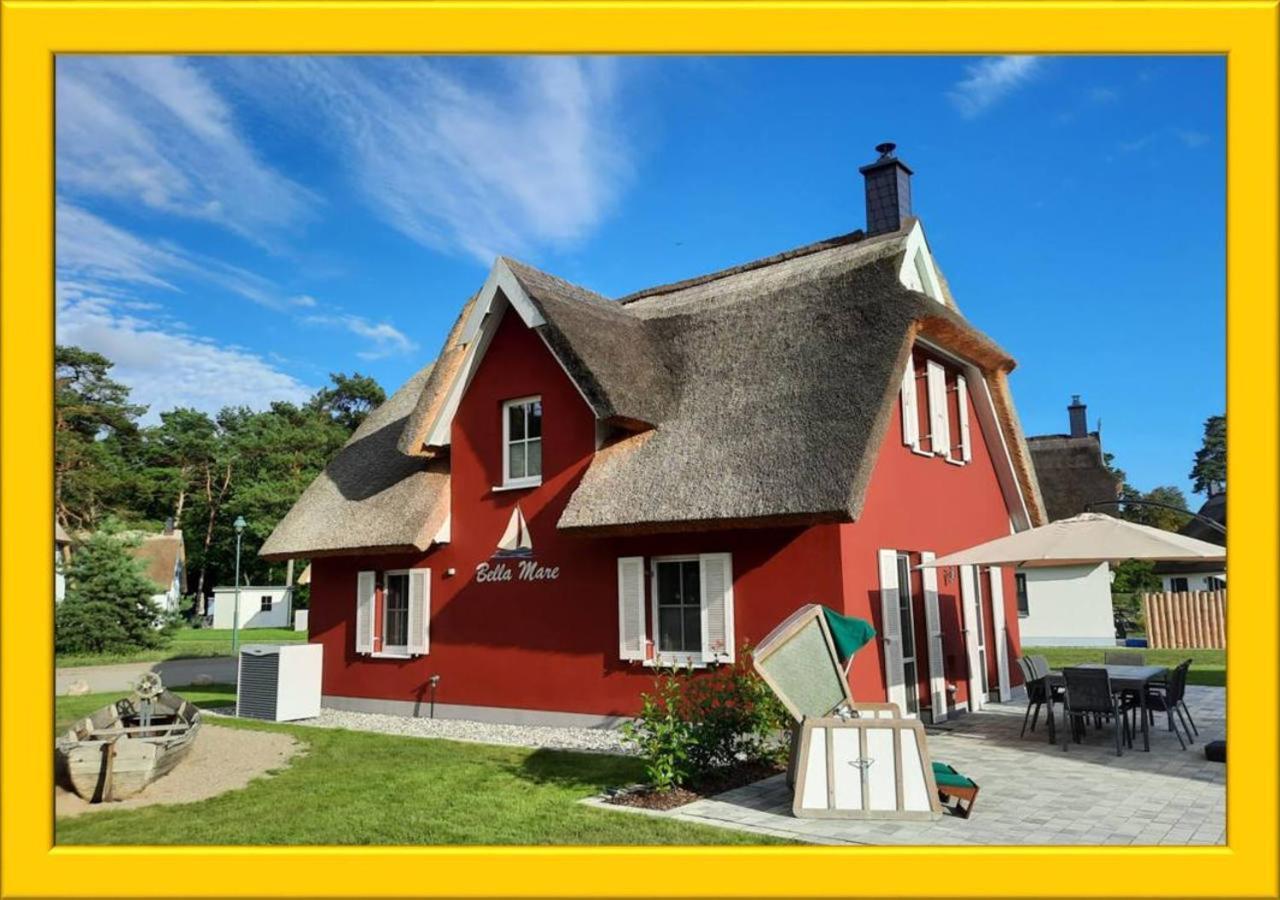 Modernes Reetdach-ostseeferienhaus Bella Mare, Insel Usedom Mit Sauna, Kamin & Sonnenterrasse Apartment *