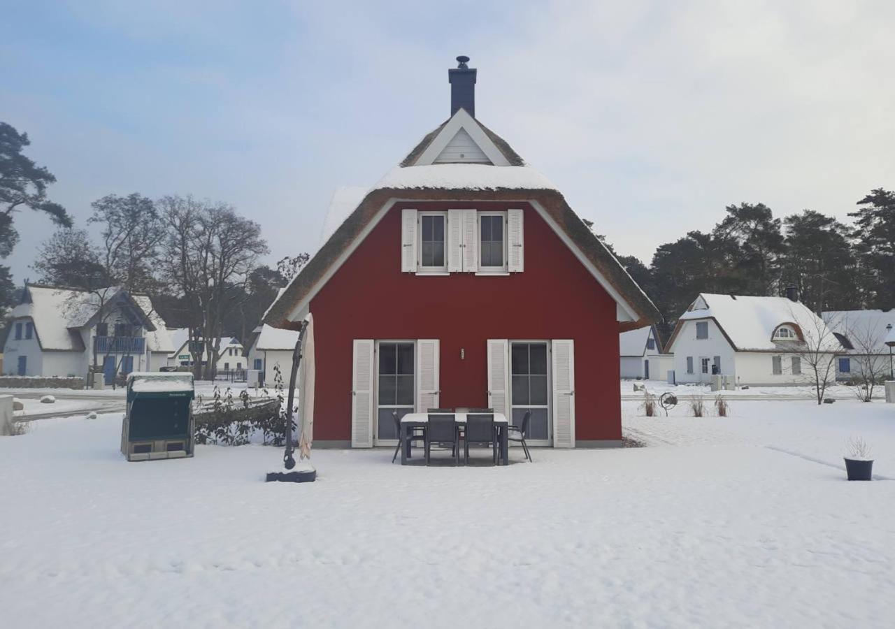Modernes Reetdach-ostseeferienhaus Bella Mare, Insel Usedom Mit Sauna, Kamin & Sonnenterrasse Apartment *