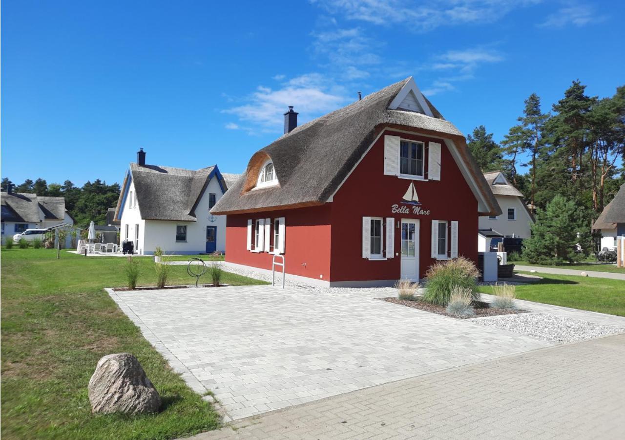 Modernes Reetdach-ostseeferienhaus Bella Mare, Insel Usedom Mit Sauna, Kamin & Sonnenterrasse Apartment Zirchow