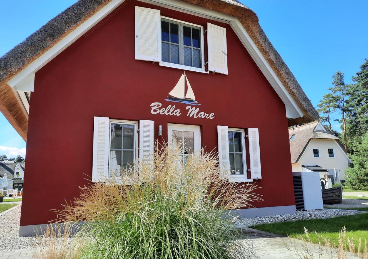 Modernes Reetdach-ostseeferienhaus Bella Mare, Insel Usedom Mit Sauna, Kamin & Sonnenterrasse